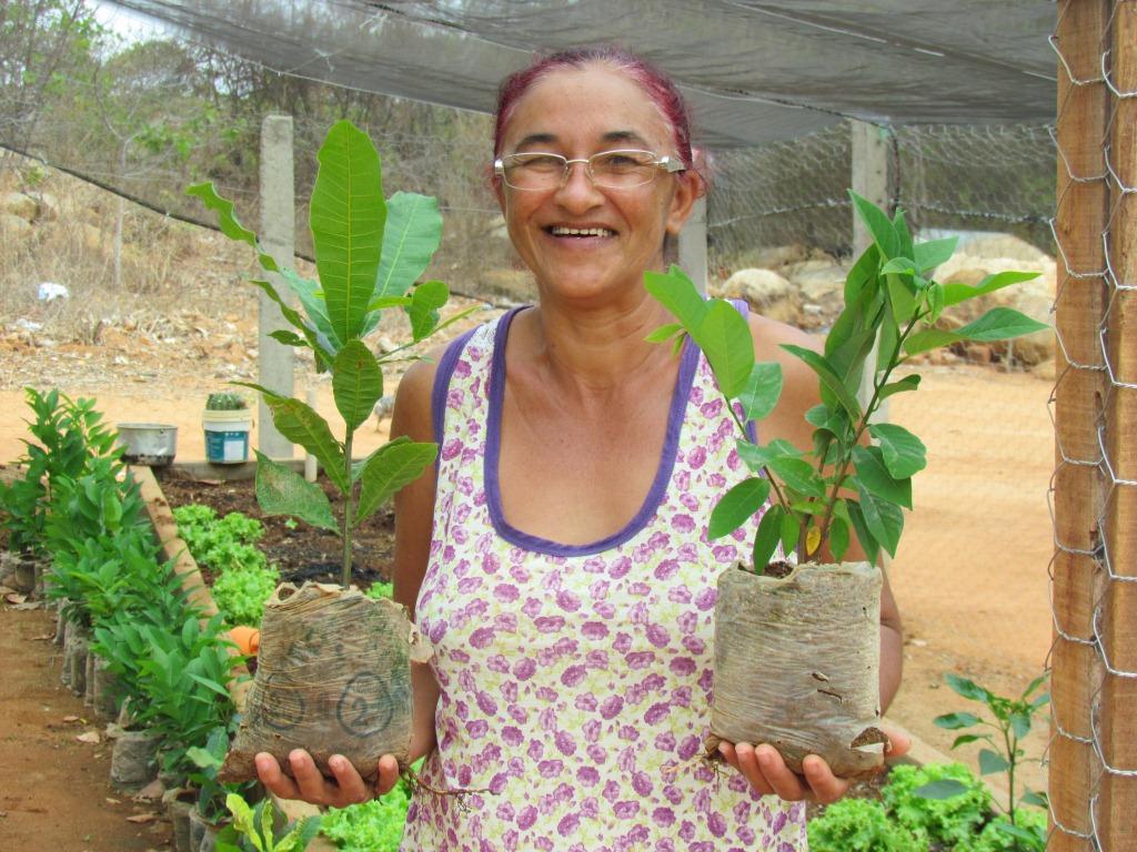 Horta de Iranilda da Silva Domingos comunidade Pedra D_ agua - Matureia - PB.,..jpg